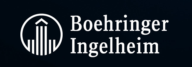 BI – Digital Solution